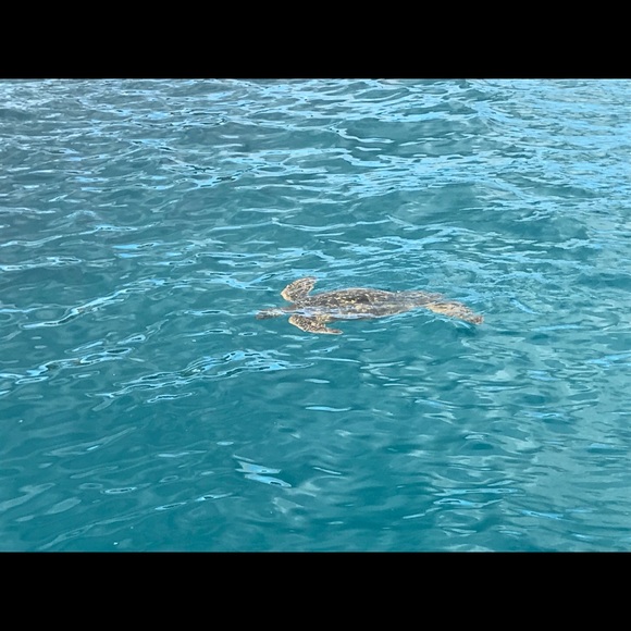 Meet your Posher, Kristen - Picture 1 of 1